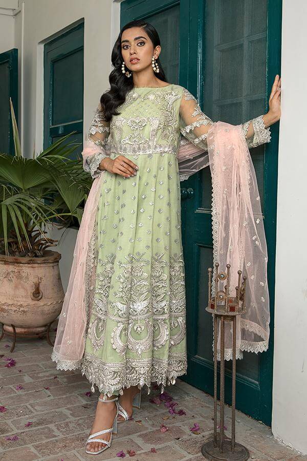 Embroidered Pakistani Party Dress In ...
